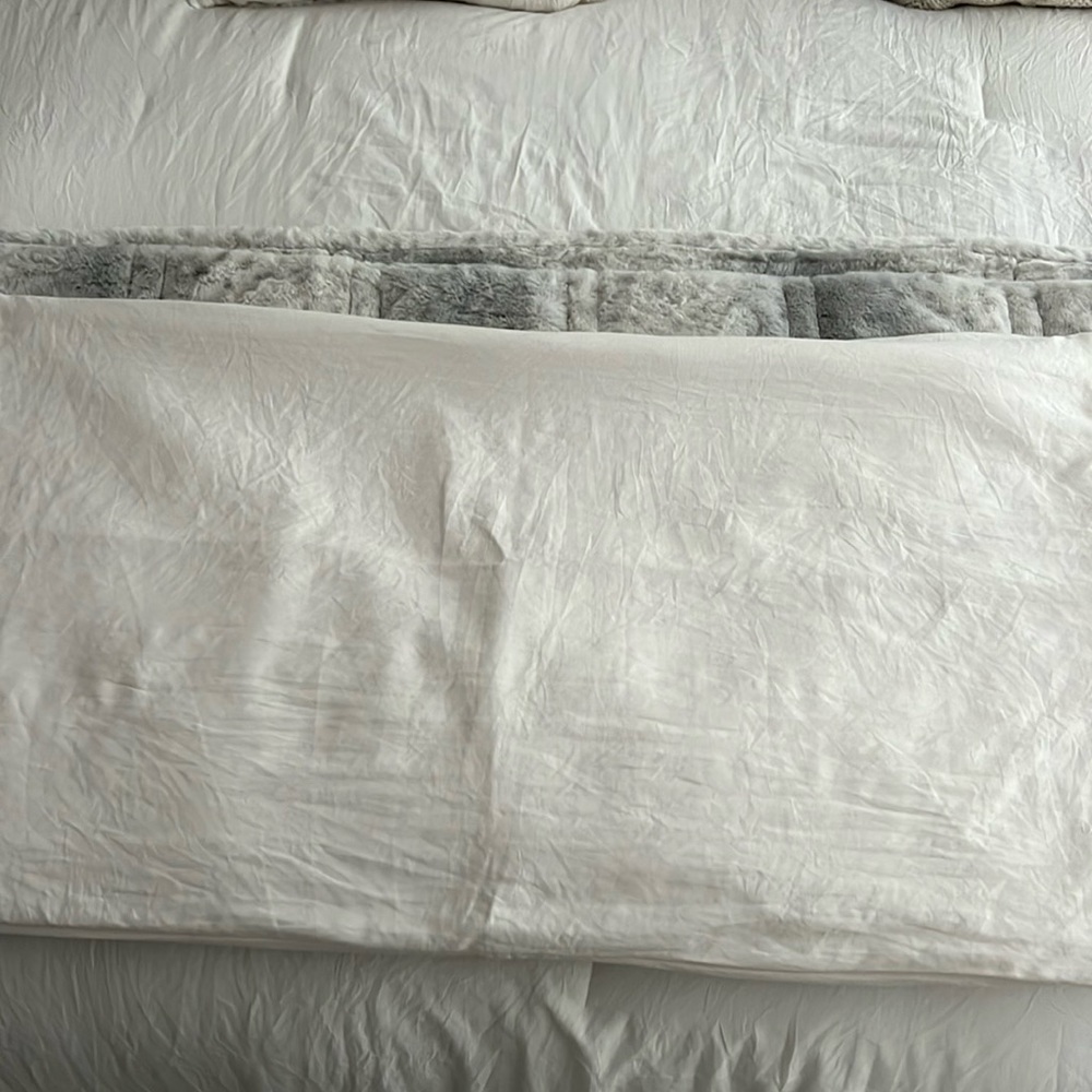 Brand New King Size Ivory Pillow Sham Set of Two
